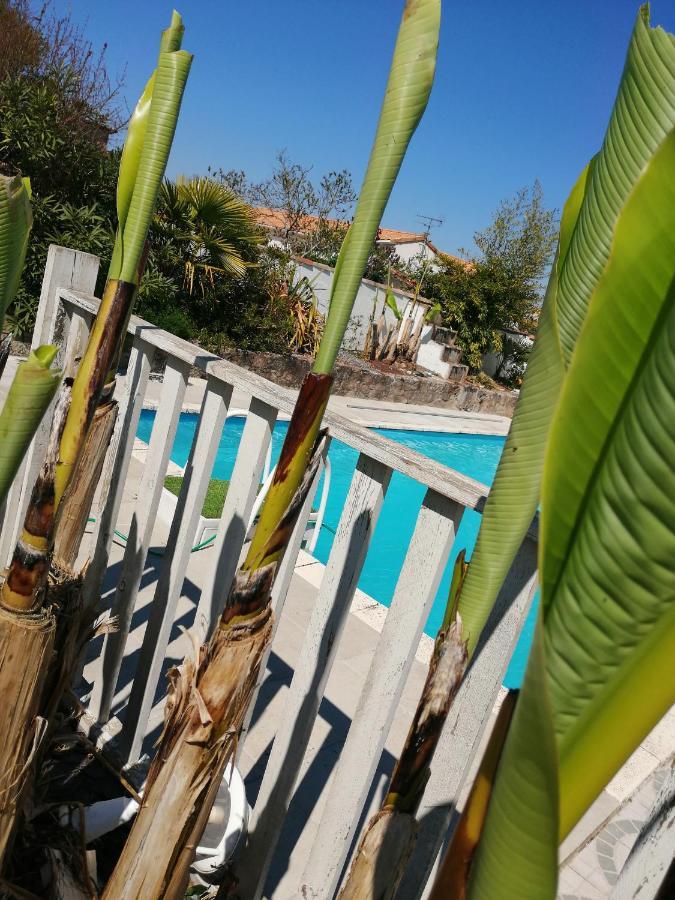 Bed and Breakfast Les Bichettes Mortagne-sur-Sevre Esterno foto