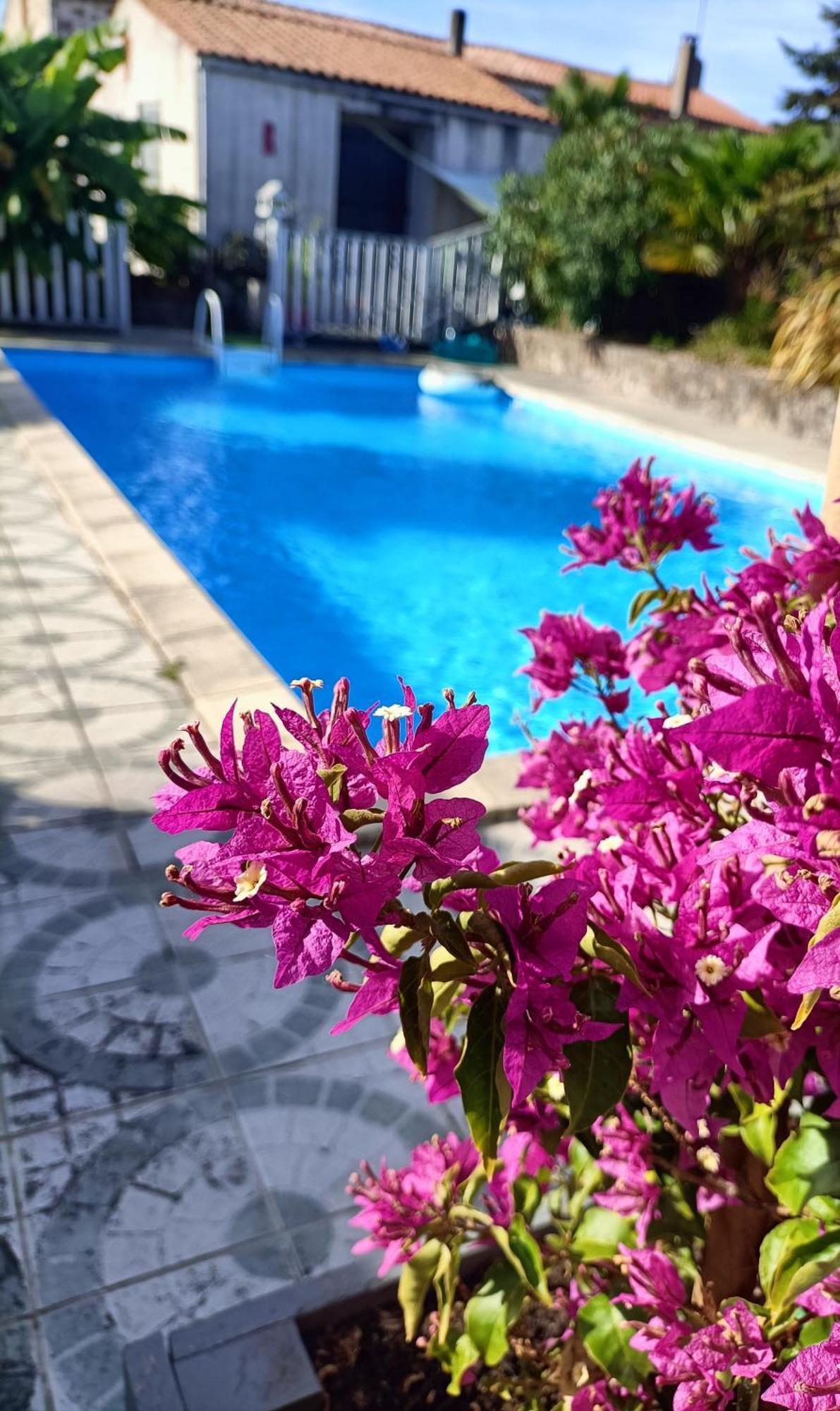 Bed and Breakfast Les Bichettes Mortagne-sur-Sevre Esterno foto
